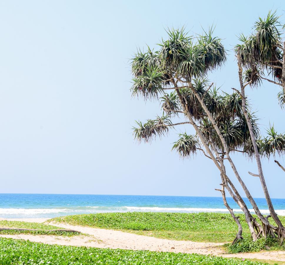 Channa Villa&Tours Bentota Exteriör bild